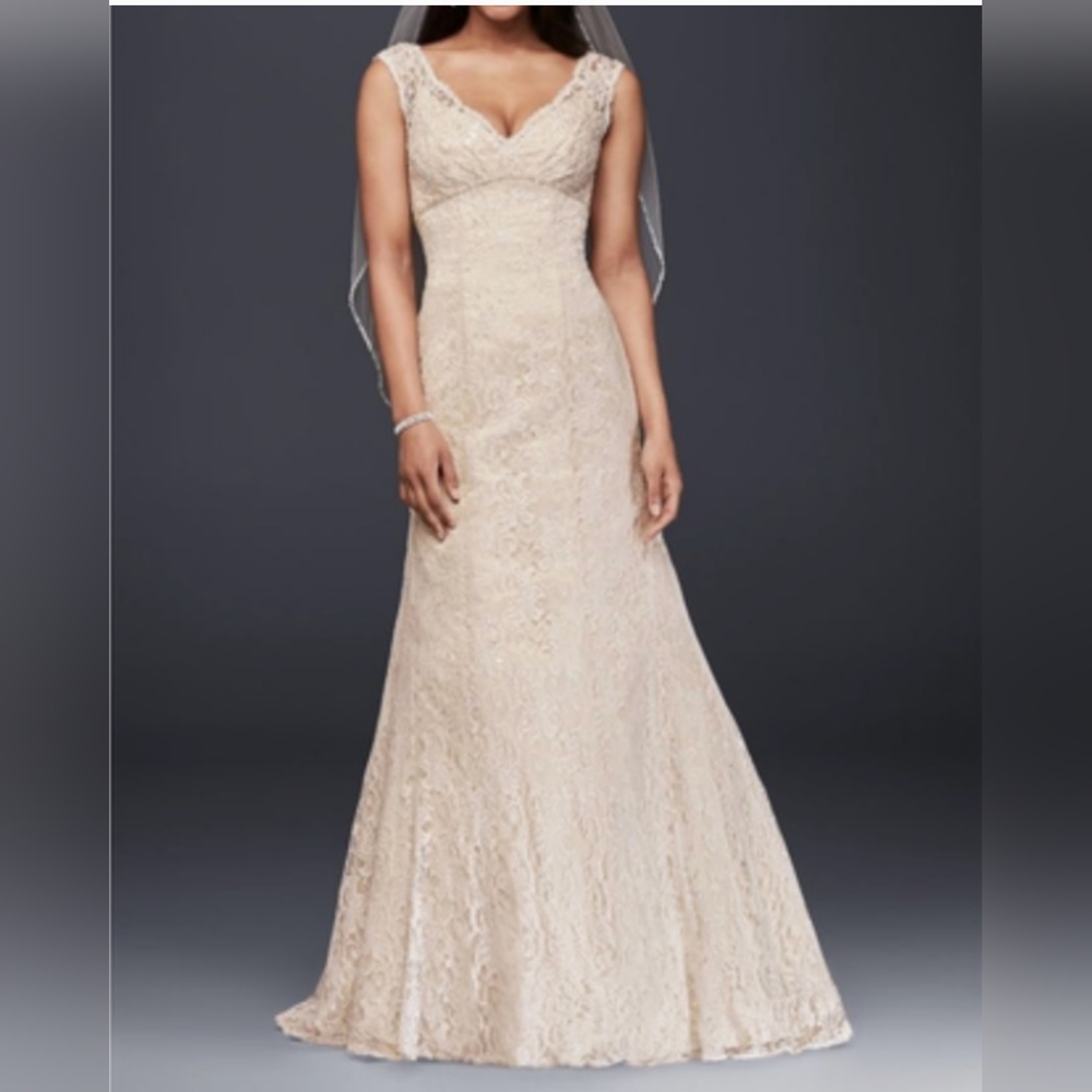 David's Bridal 13011145/All Over Beaded Lace Trumpet Gown Wedding Dress | 20w